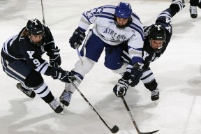 华体会平台娱乐-勇士与地方高校合作推广篮球文化教育