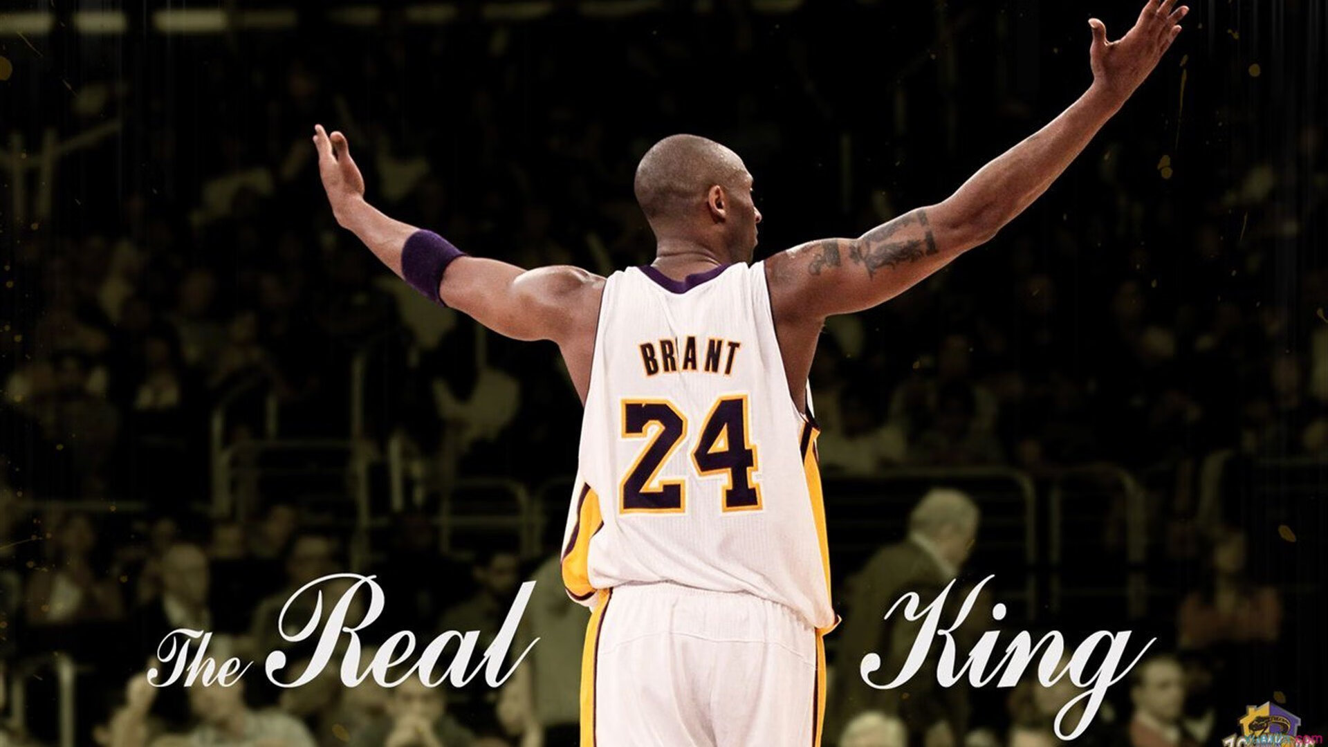 体育医疗科技加速伤后恢复进程，医疗体育项目有哪些