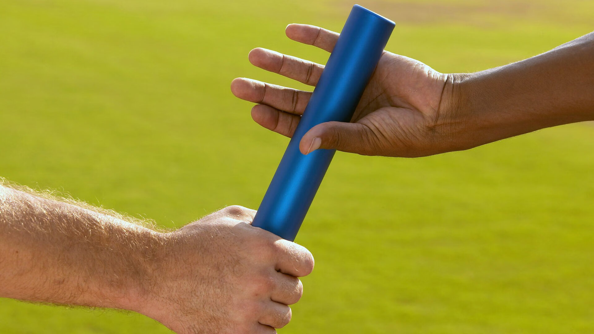 外教引进成效为何始终不明显，外教引入政策