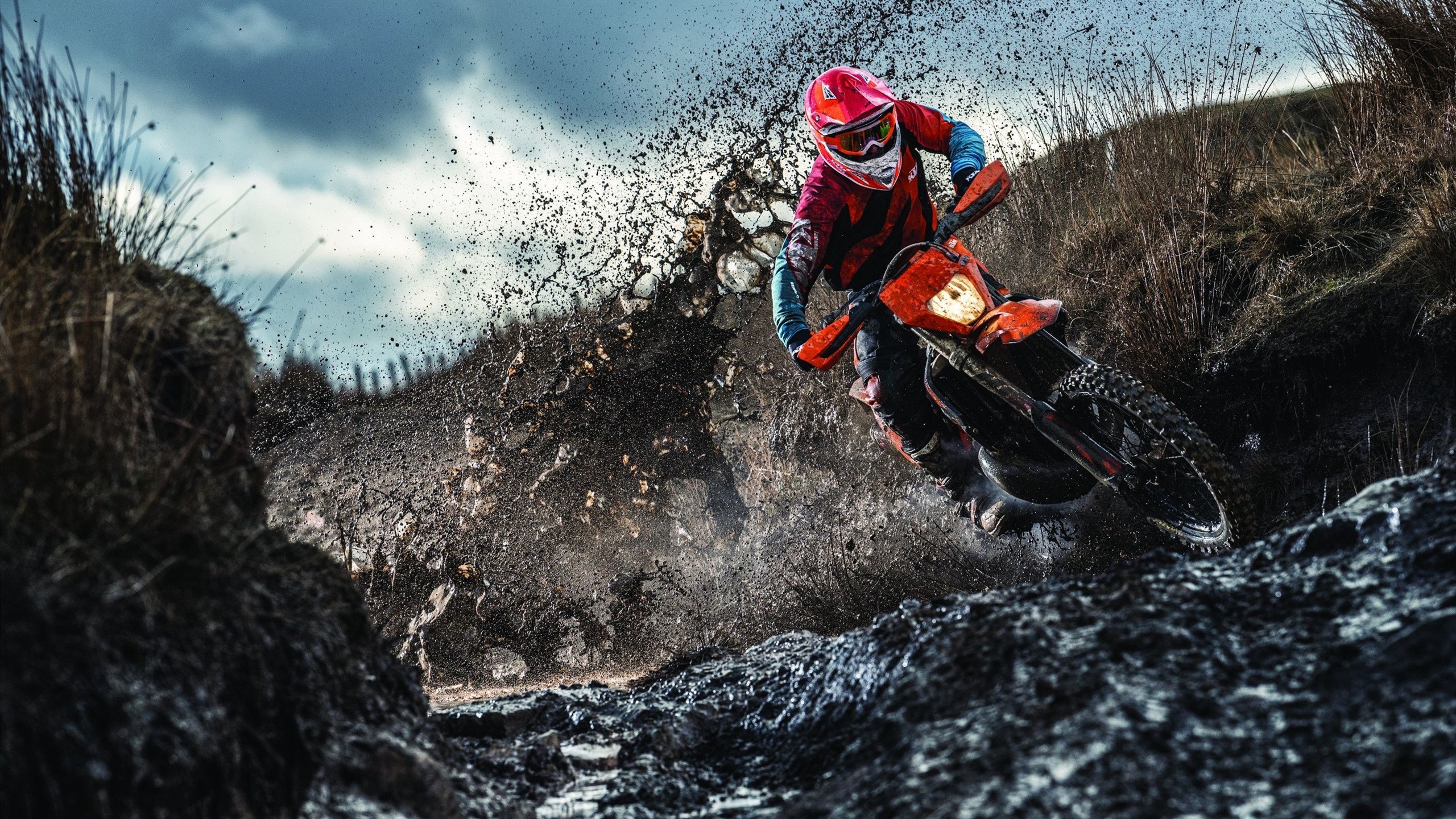 新西兰女子橄榄球的市场化潜力巨大，吸引国际投资，新西兰橄榄球全黑队